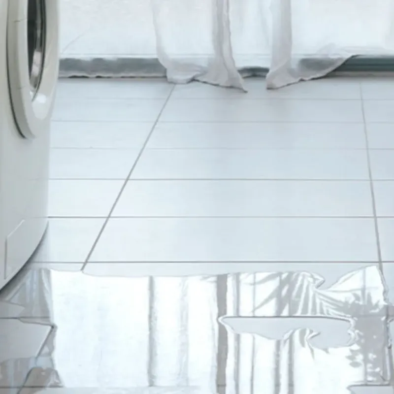 Appliance Leak Cleanup in Andalusia, IL