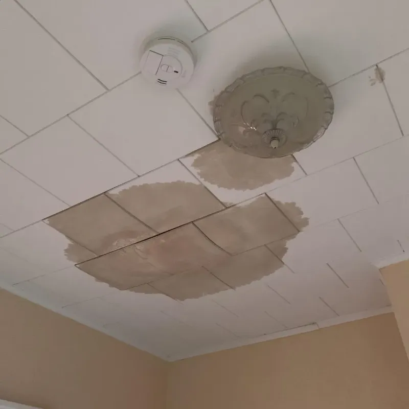 Ceiling Water Damage Repair in Andalusia, IL
