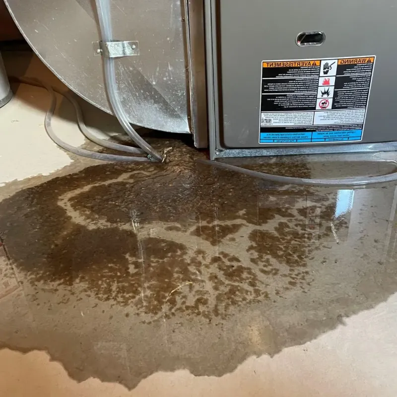 Pipe Burst and Leak Restoration in Andalusia, IL