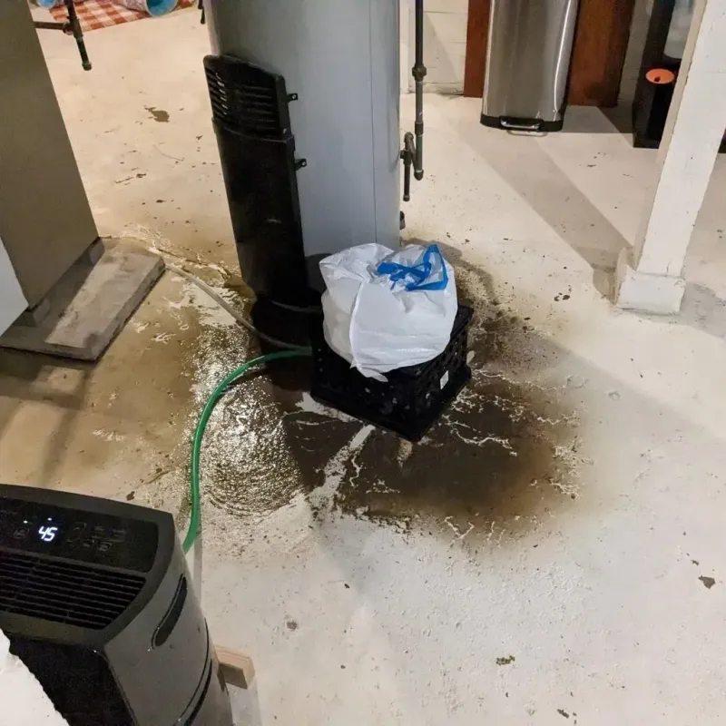 Sewage Backup Cleanup Service in Andalusia, IL